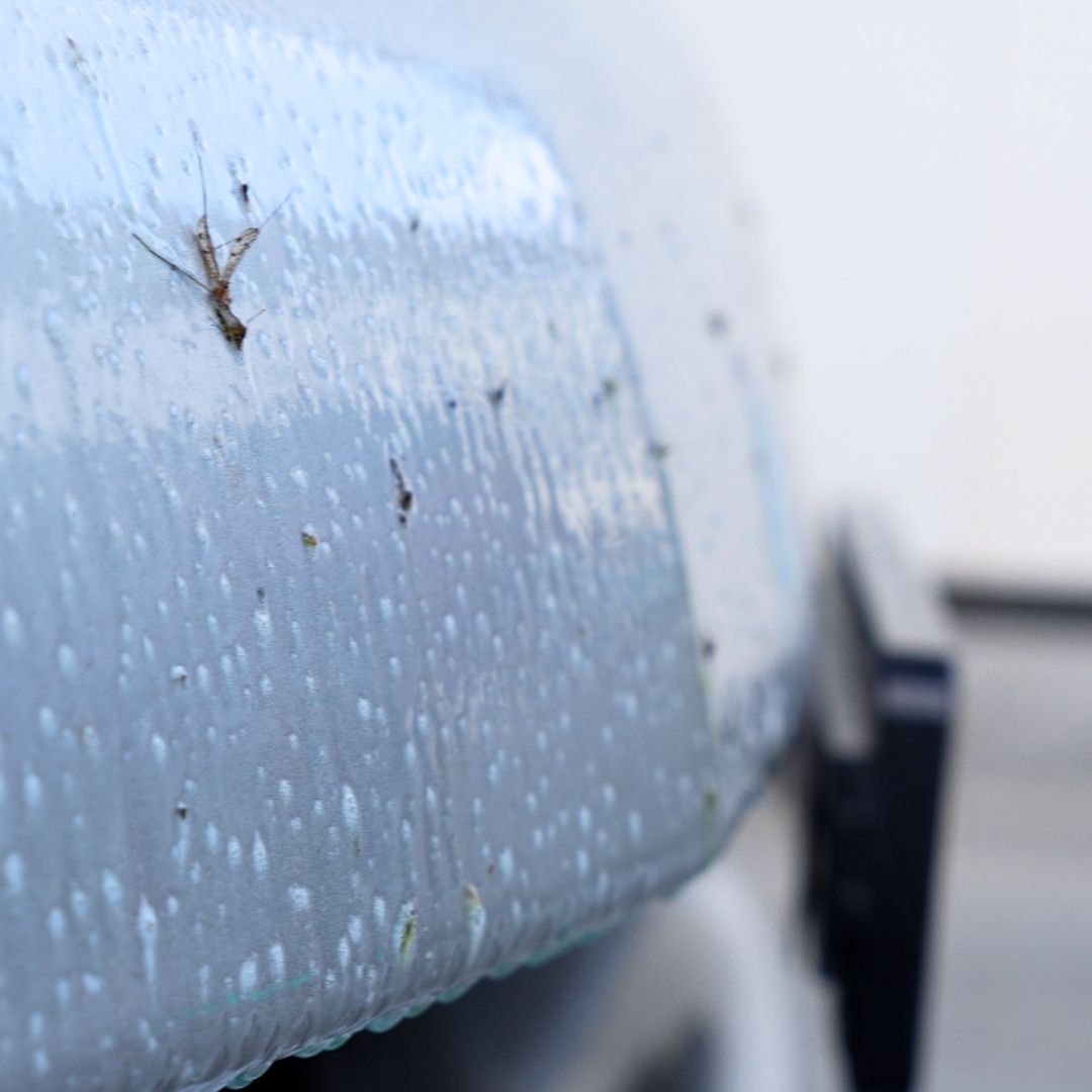 Insektenentferner und Schwamm Set | 0.5 Liter