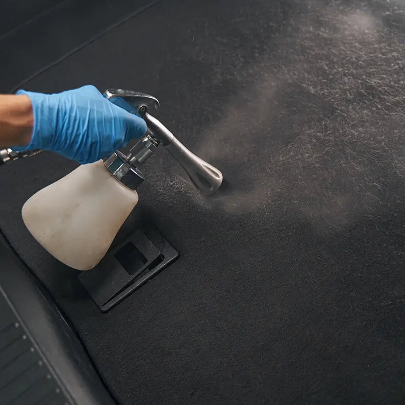 Auto Teppich reinigen